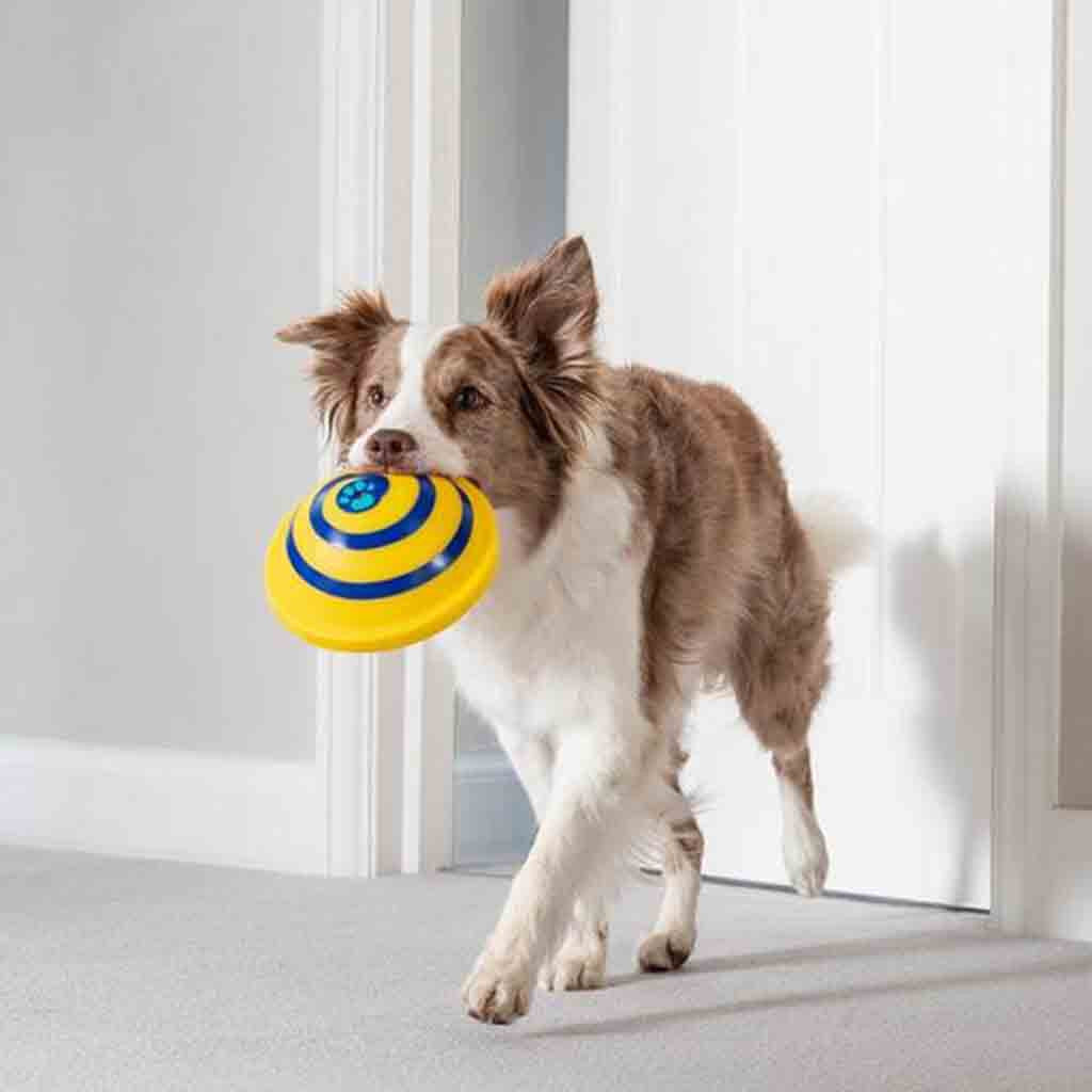 Interactive Flying Disc Dog Toy - Soft & Safe Indoor/Outdoor Play