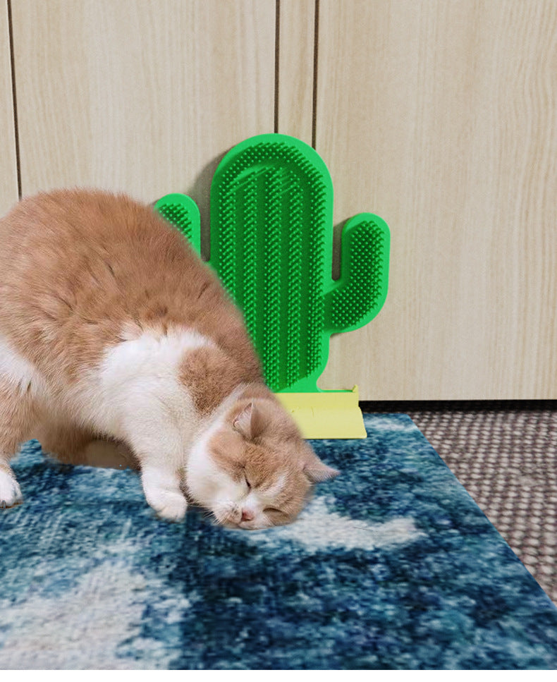 仙人掌猫抓板带猫薄荷球玩具