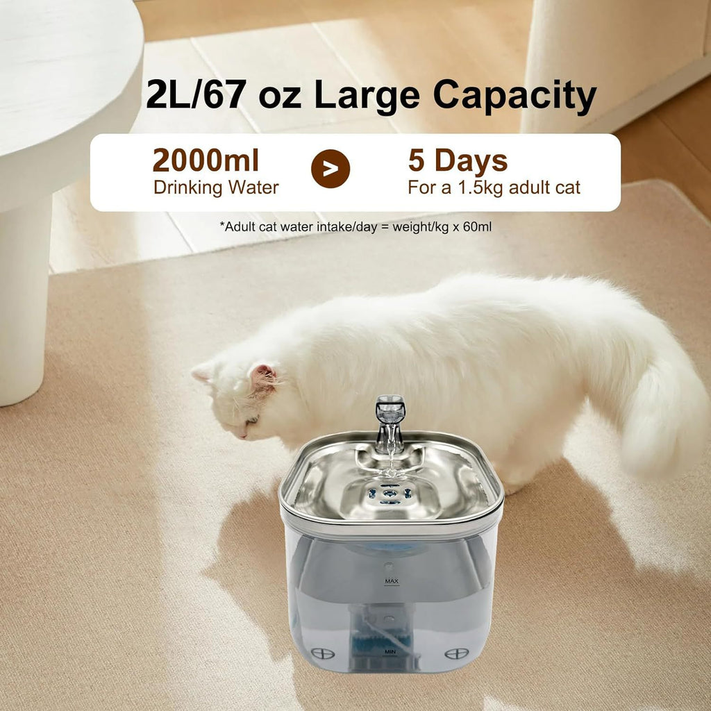 Smart Pet Water Fountain with Temperature Control & Filtration