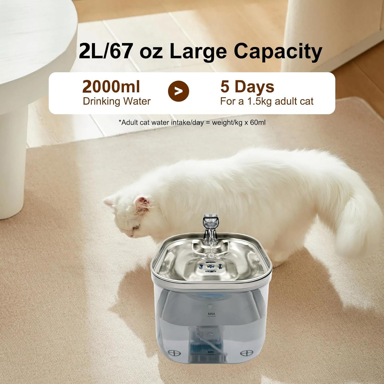 Smart Pet Water Fountain with Temperature Control & Filtration