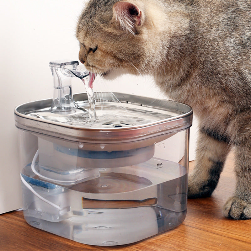 Smart Pet Water Fountain with Temperature Control & Filtration