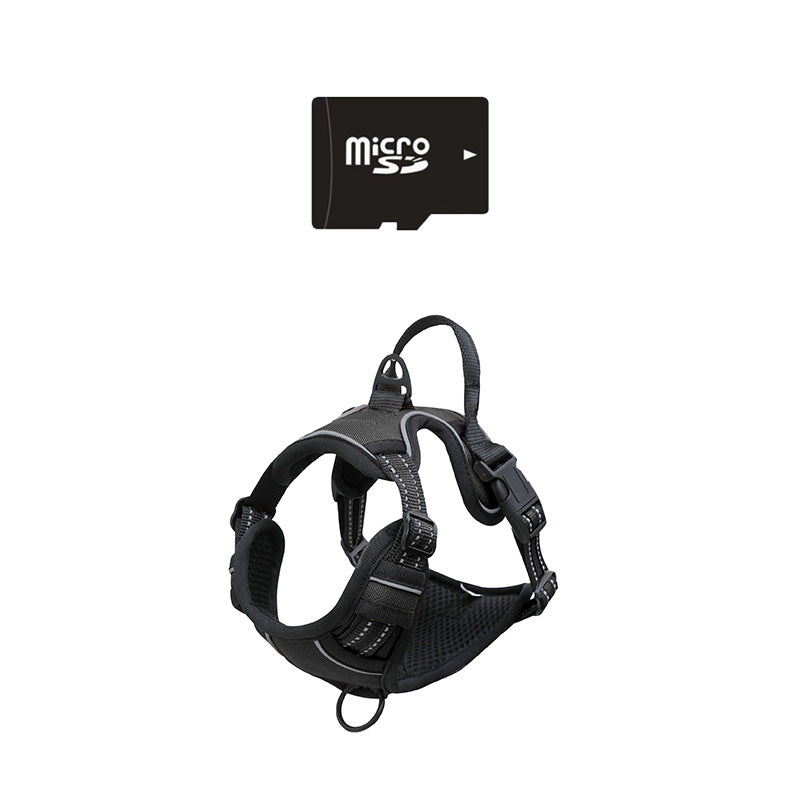 WiFi Pet Collar Camera - Real-Time Monitoring & Recording