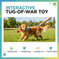 Interactive Tug-of-War Toy - Golden Retriever Bonding Play